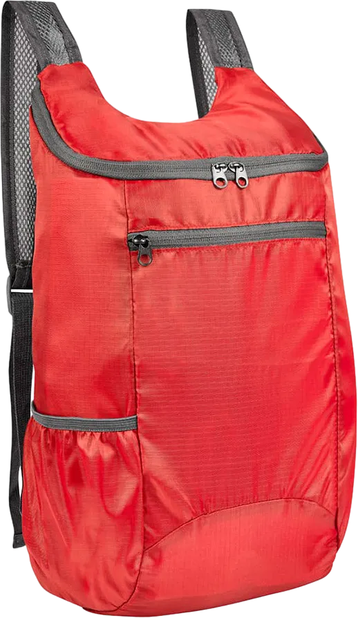 Voyage SIN 309 backpack