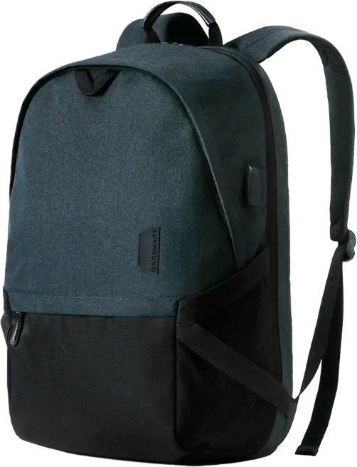 Bagsmart Falco Backpack