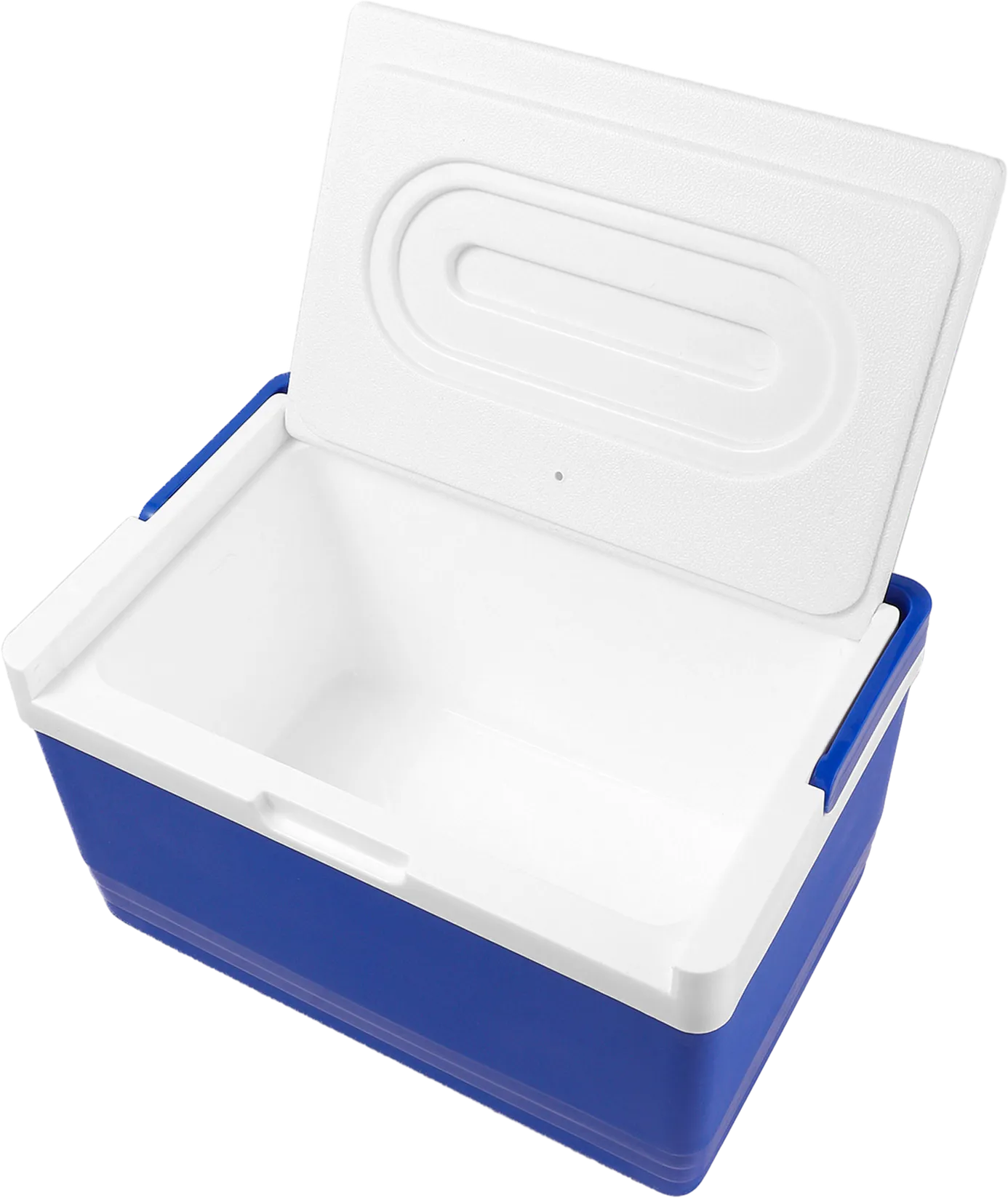 Ice Insulated Lunch Cooler