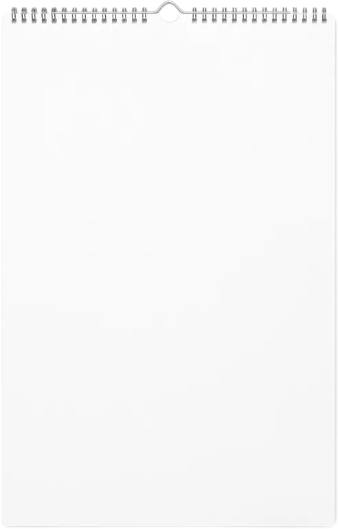 Wall Calendar (2025)