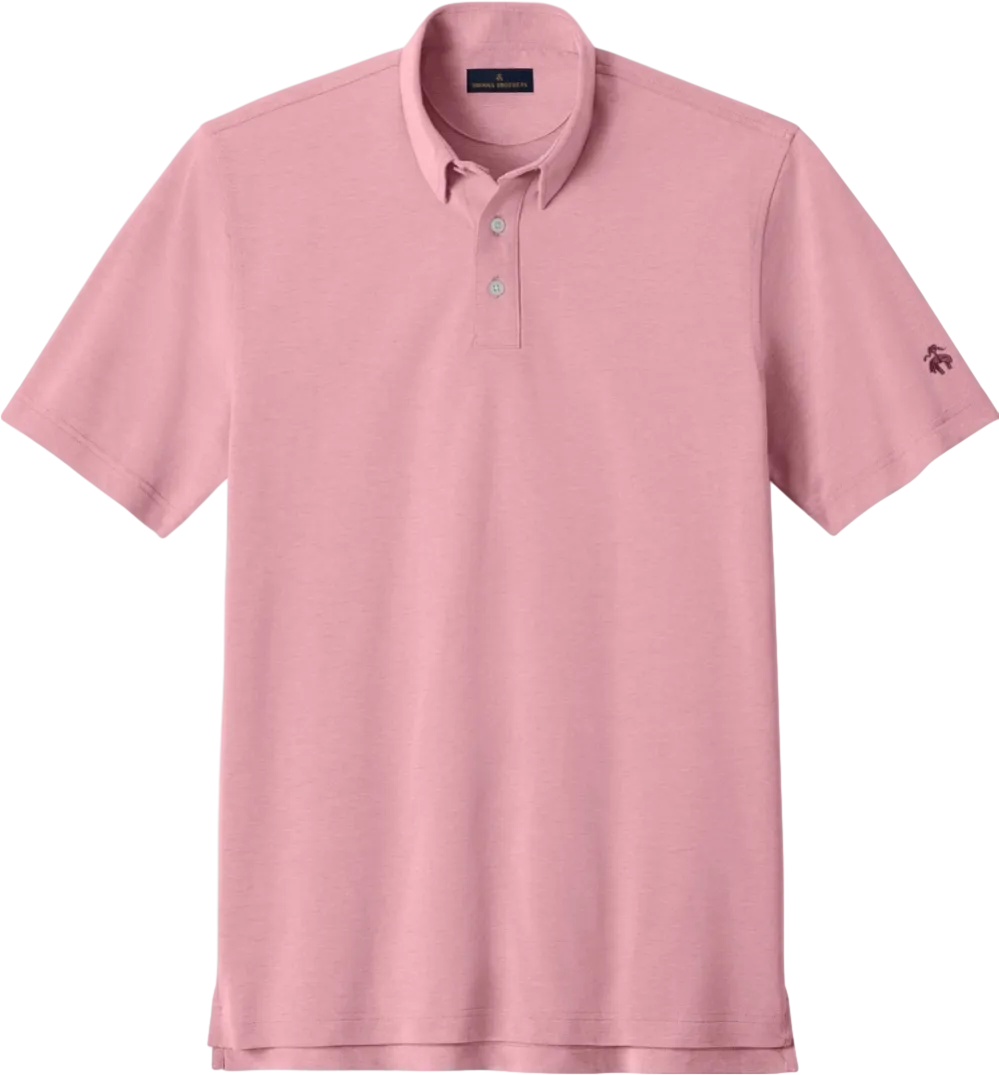 Brooks Brothers Pinpoint Pique Dress Polo