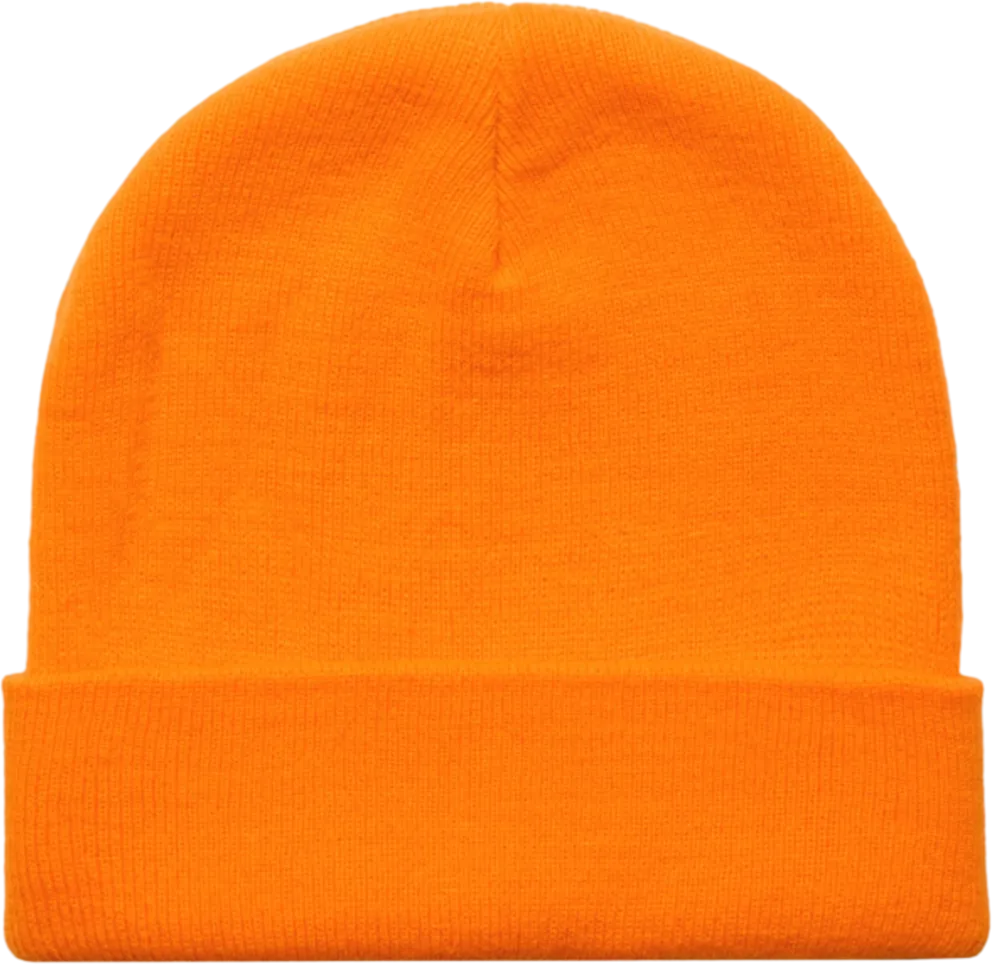 Cuff Safety Beanie
