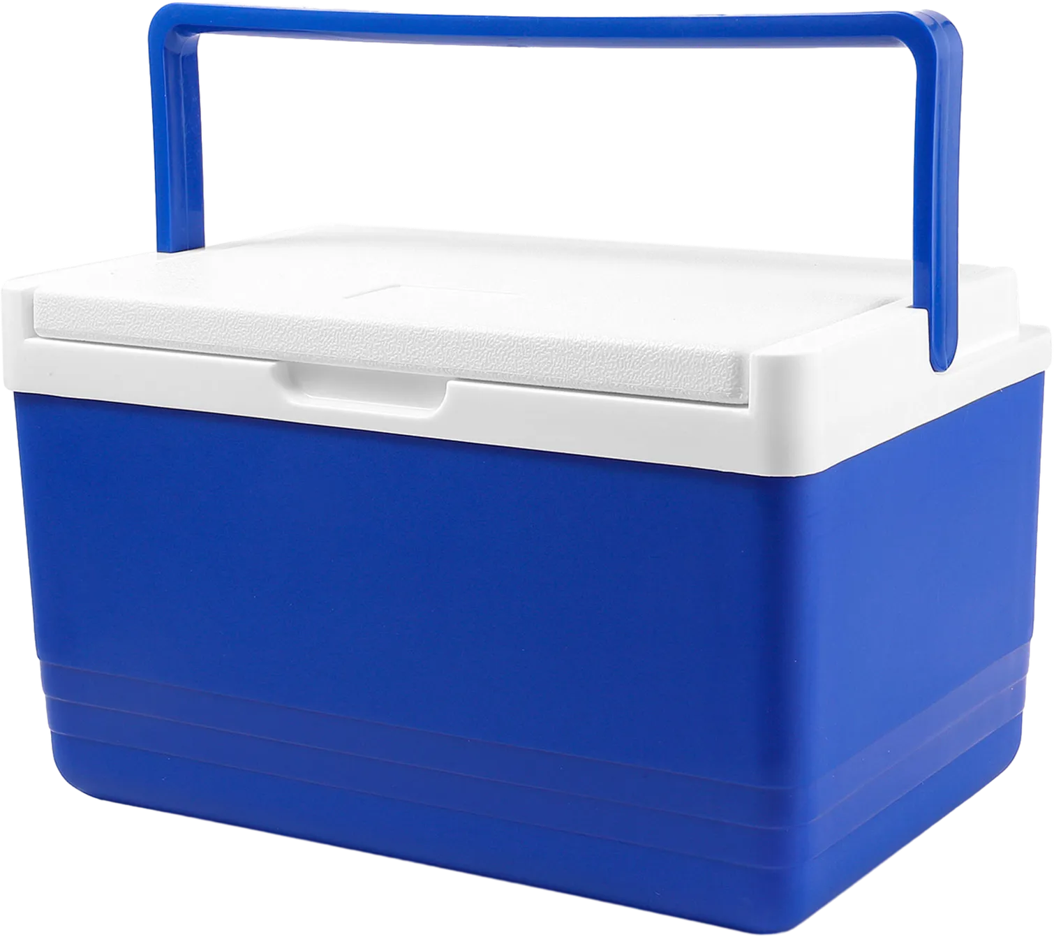 Ice Insulated Lunch Cooler