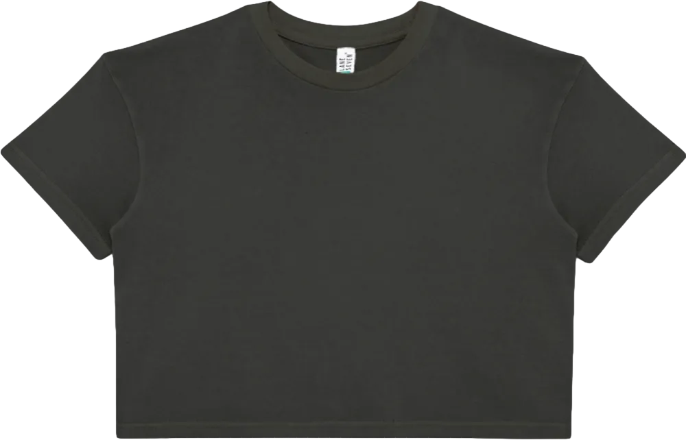 Lane Seven Womens Urban Crop Tee GD