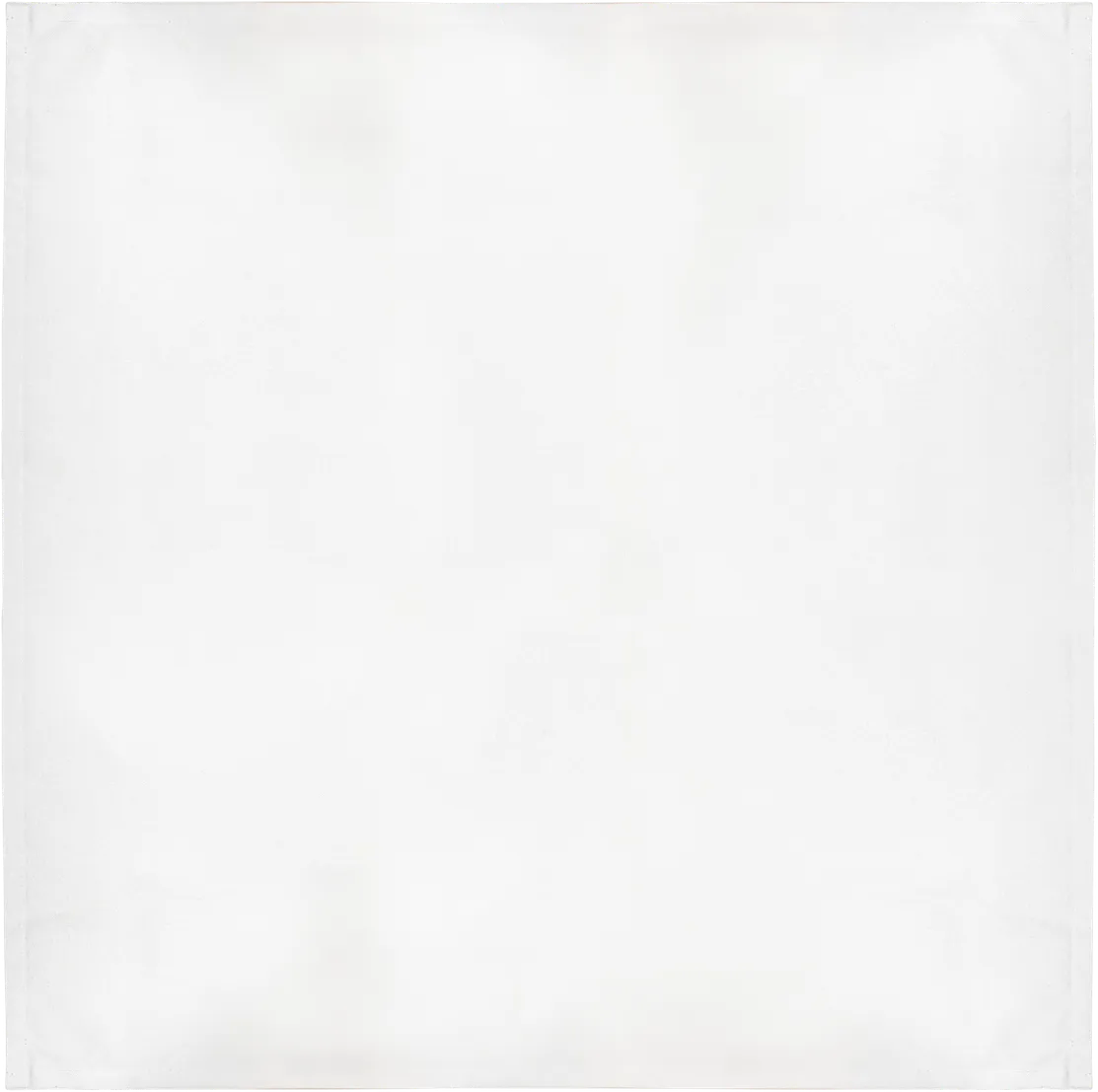 Napkin 20 x 20