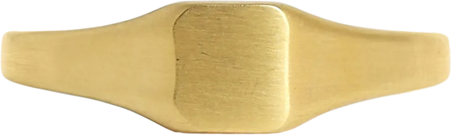18K Gold PVD Stainless Steel Square Signet Ring