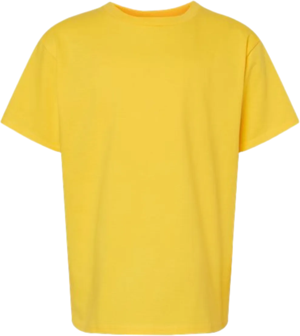 Softstyle Youth Midweight T-Shirt