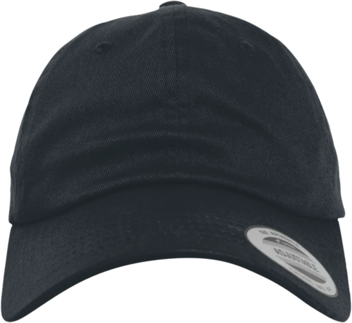 EcoWash Dad Hat