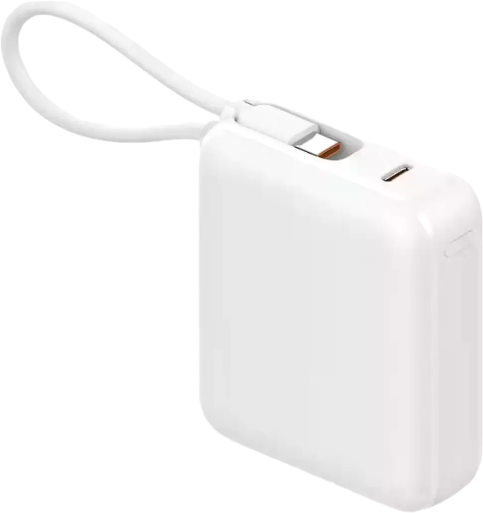 10,000 mAh Power Bank