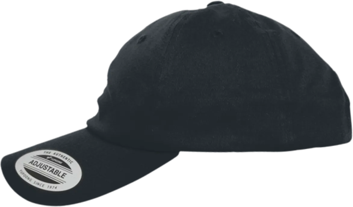 EcoWash Dad Hat