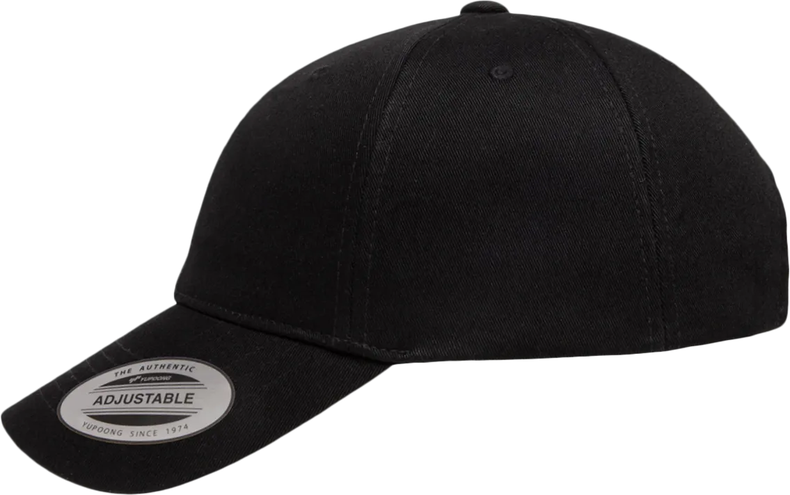 EcoWash Dad Hat