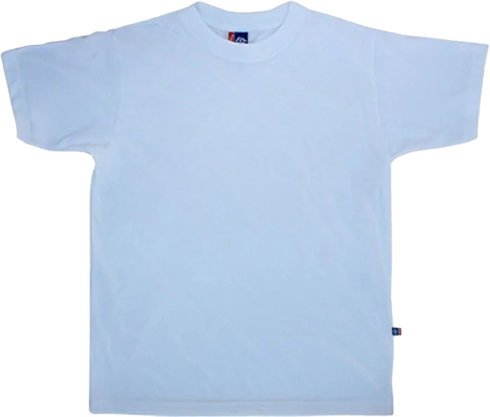 Men's Basic Shiffon Short Sleeve T-Shirt