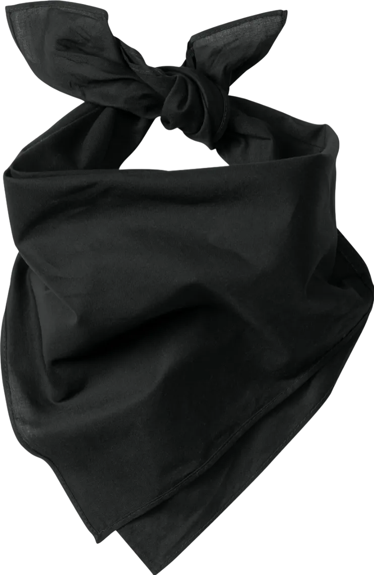 Large Bandana