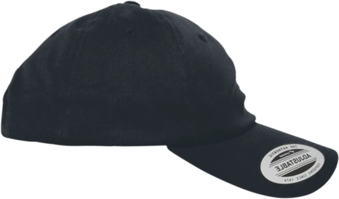 EcoWash Dad Hat