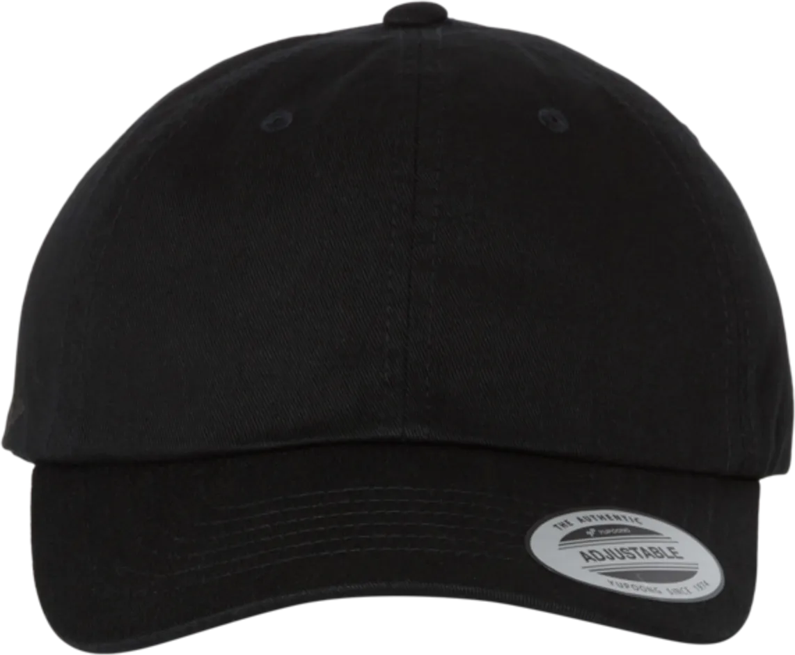 EcoWash Dad Hat