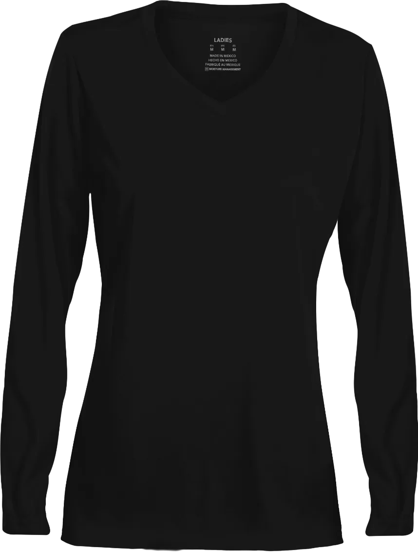 Ladies NexGen Wicking Long Sleeve Tee