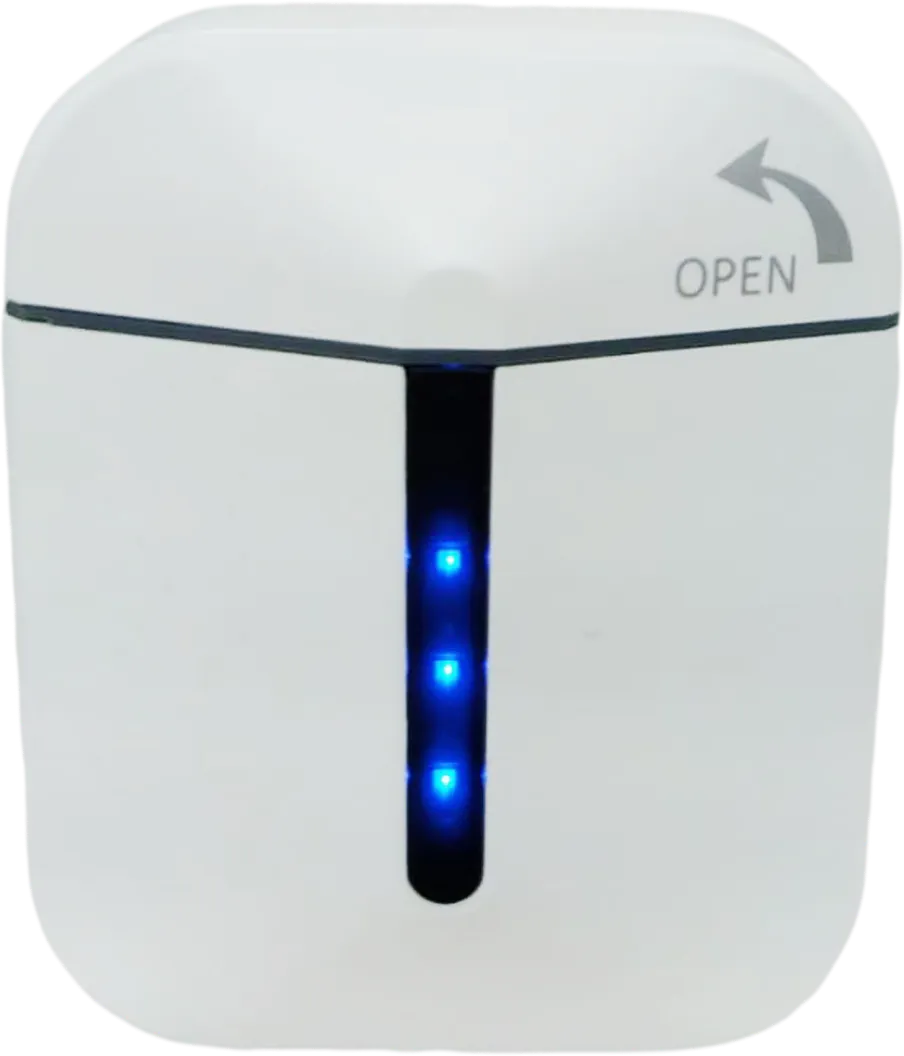 Prisma Wireless Earbuds