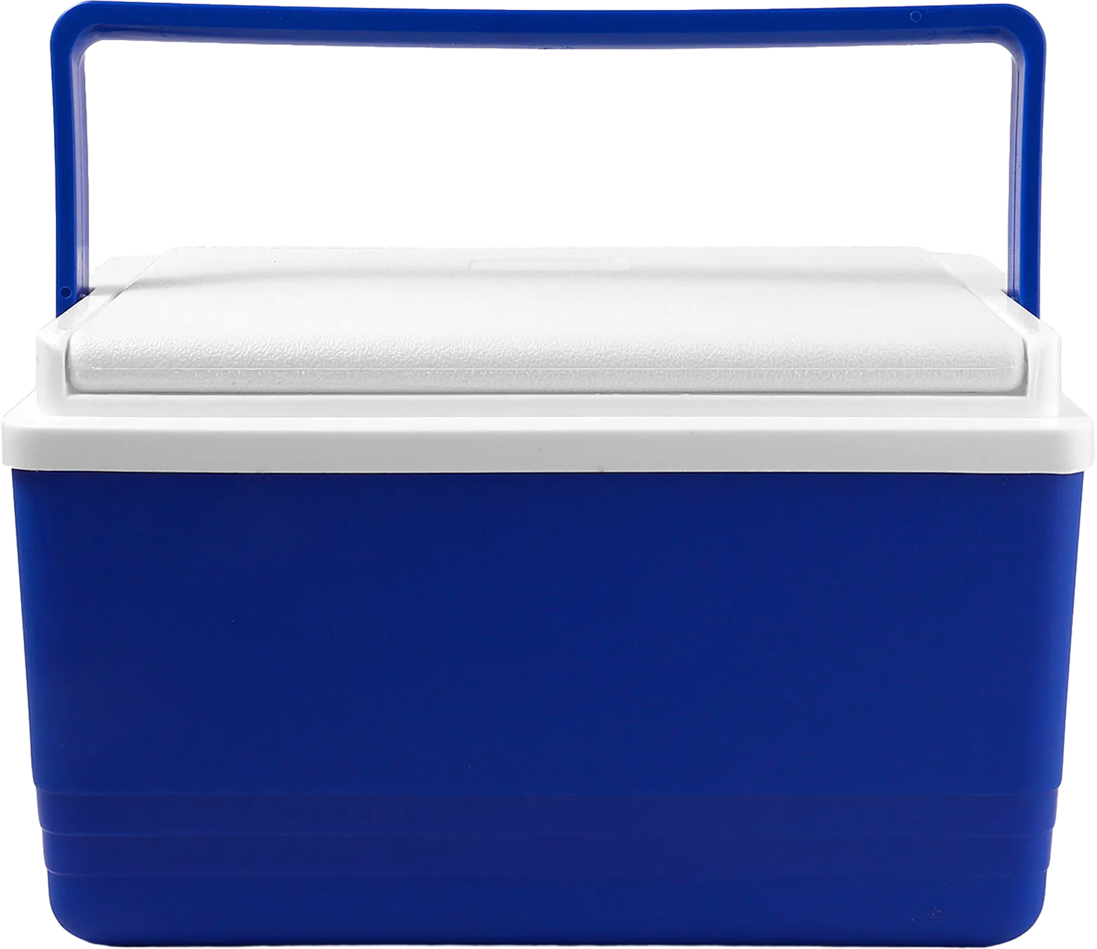 Ice Insulated Lunch Cooler