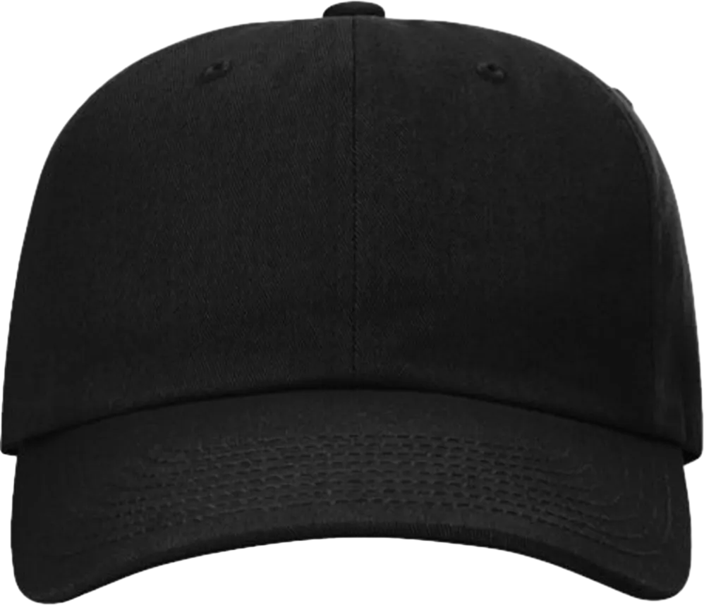 Sustainable Ashland Dad Hat