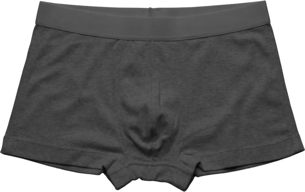 Boxer Briefs