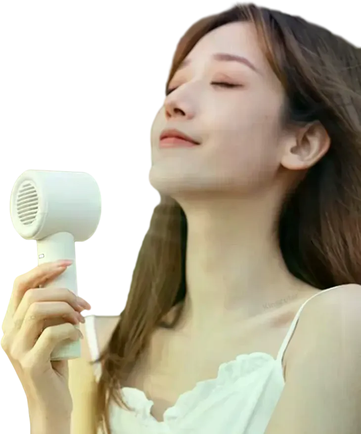 Portable Fan