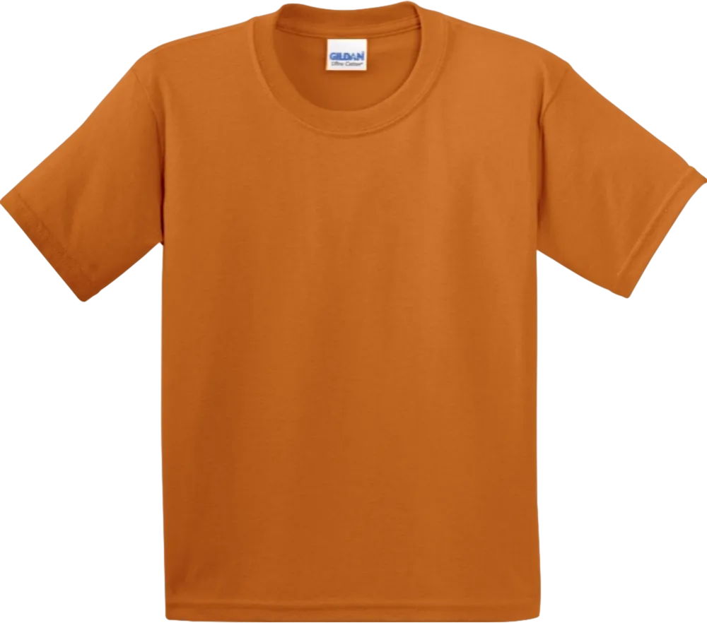 Youth Ultra Cotton 100% Cotton T-Shirt