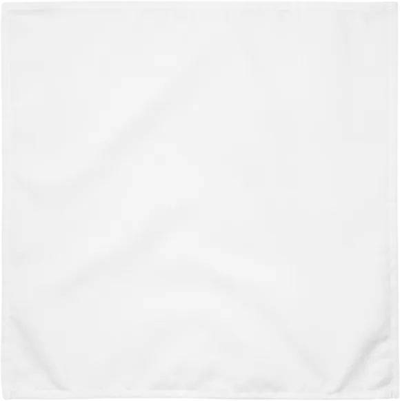Cloth Napkin Set (4)