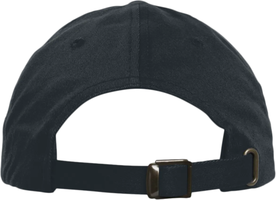 EcoWash Dad Hat