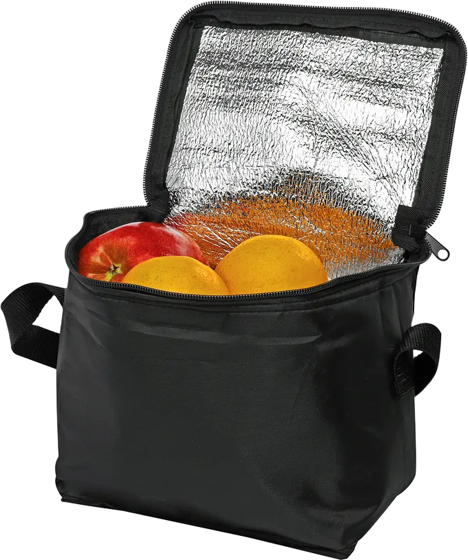 Pronto Insulated Lunch Bag