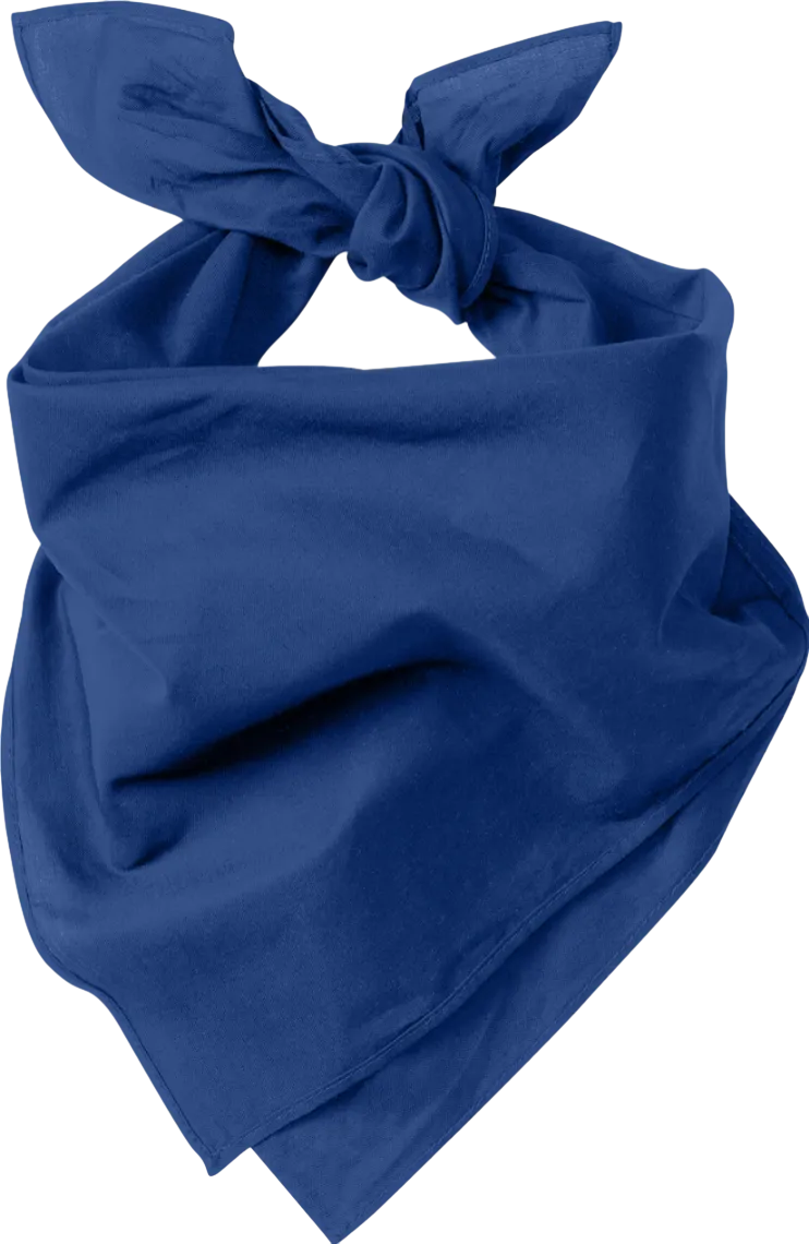 Large Bandana