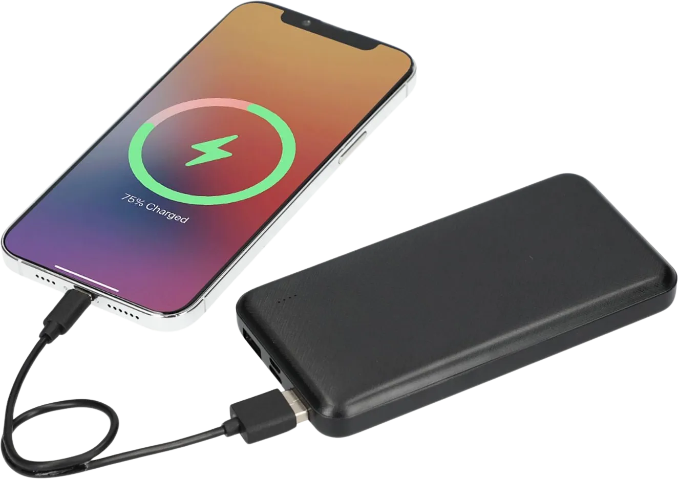 Dart 10000 mAh Power Bank