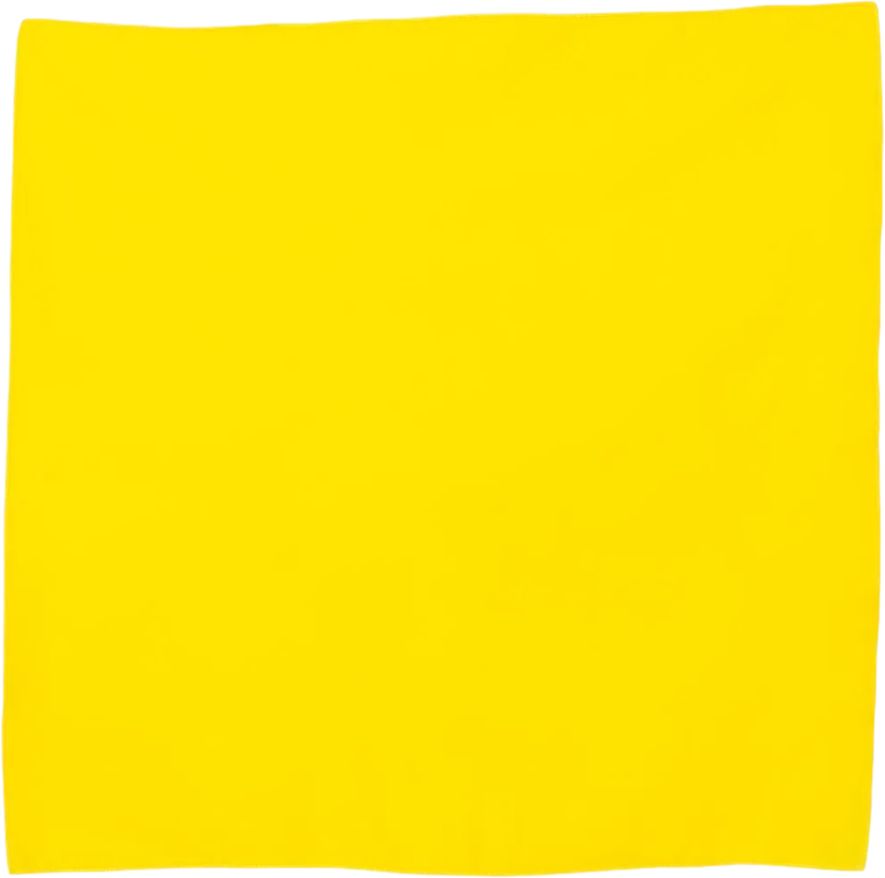 Cotton Bandana