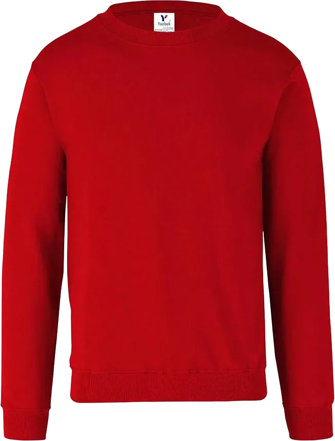 Unisex Sweatshirt for Boys