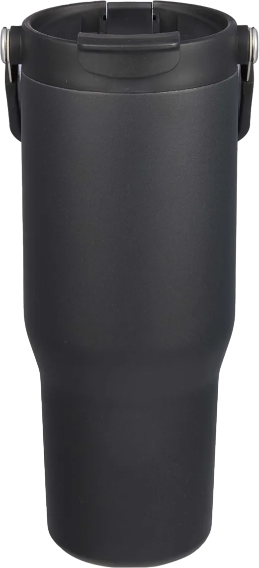 Carnival Recycled Sip Swig Tumbler 30oz