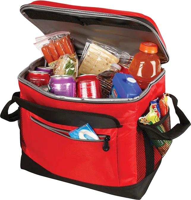 Coleman Collapsible Cooler Bag