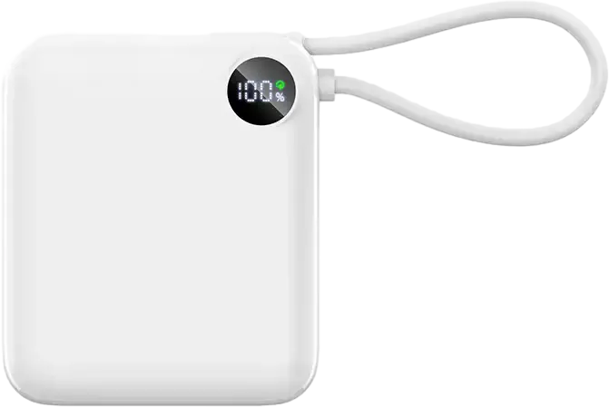 10,000 mAh Power Bank