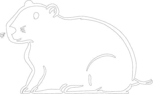 Jaapi capybara mascot