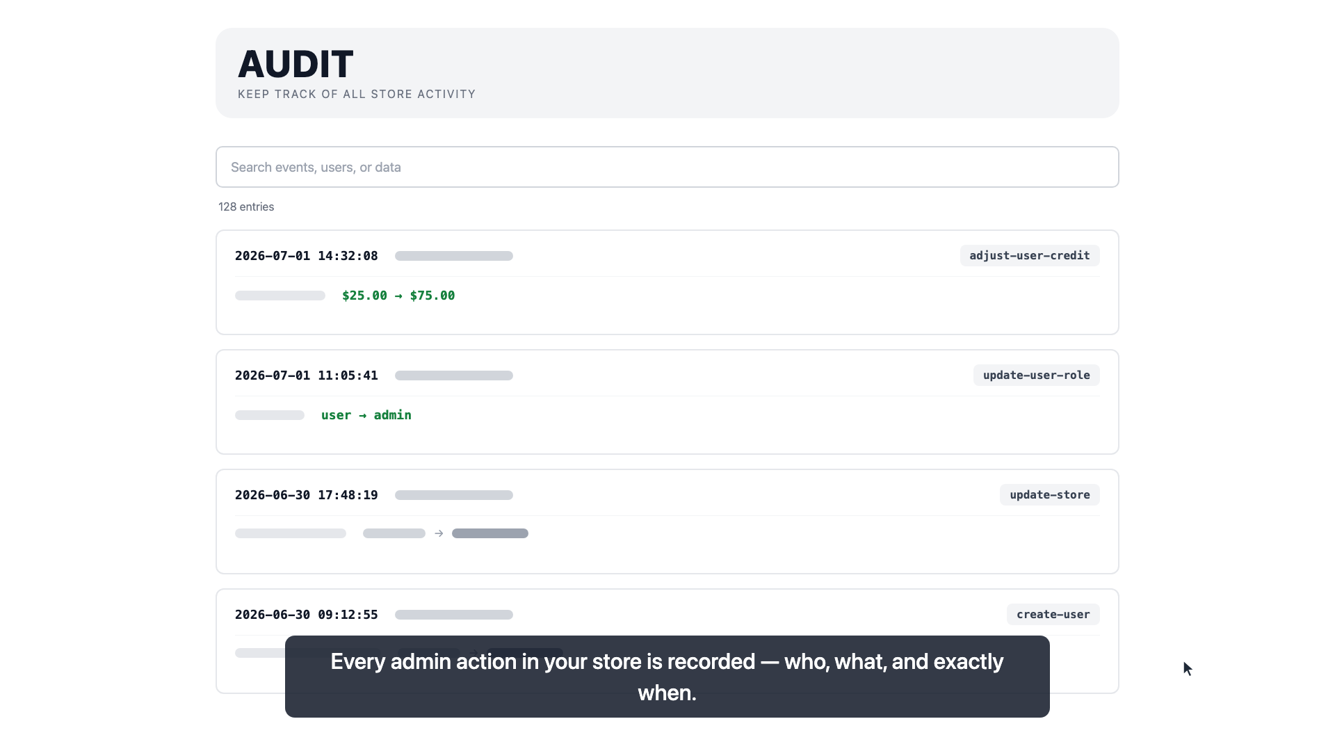 The audit log